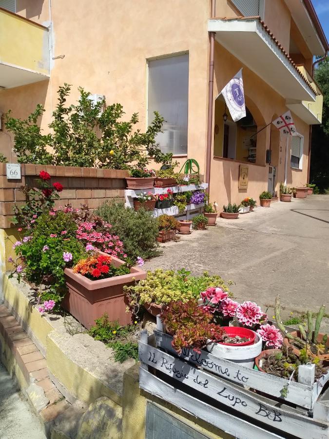 B&B Il Rifugio Del Lupo - E6721 Paringianu Exterior foto